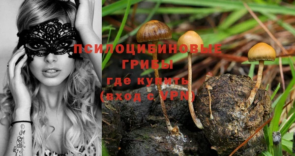 шишки Абдулино