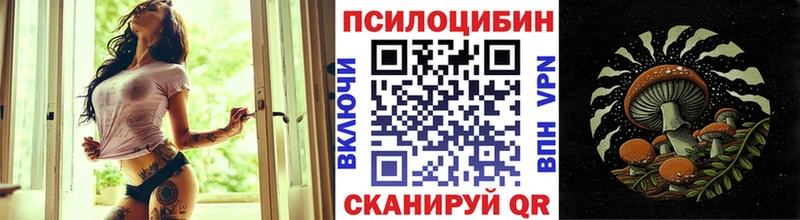 Псилоцибиновые грибы ЛСД mega ССЫЛКА Рыльск где купить