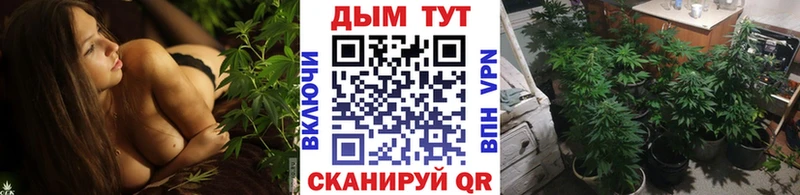 Бошки марихуана SATIVA & INDICA  Рыльск 
